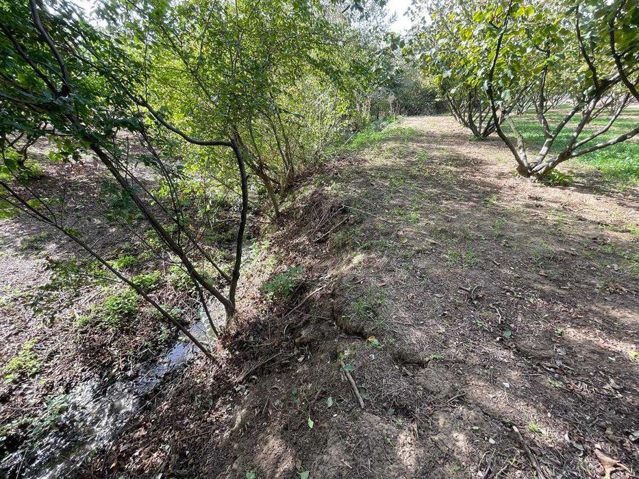 Продава се Земеделски имот в с. Драгоево, Област Шумен -  кв.м за 8 €/дка - Снимка #2