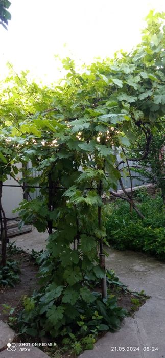 Продам/обменяю уютный дом