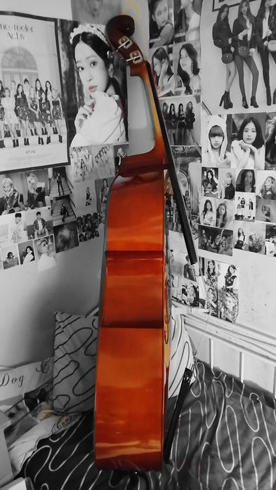 Продавам контрабас "Sound Sation-Virtuoso"Primo, 4/4,190sm