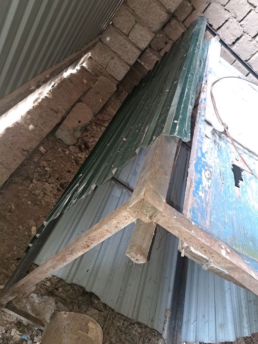 Дайын душ далаға