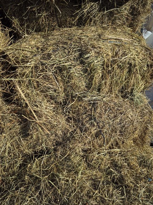 Vand baloti prima coasa amestec cu lucerna