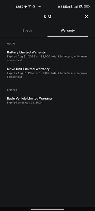 Tesla model 3  performance (гарантировано) Для любителей скорости.