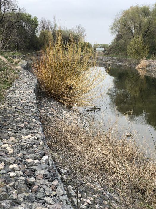 Дом с участком 17 соток