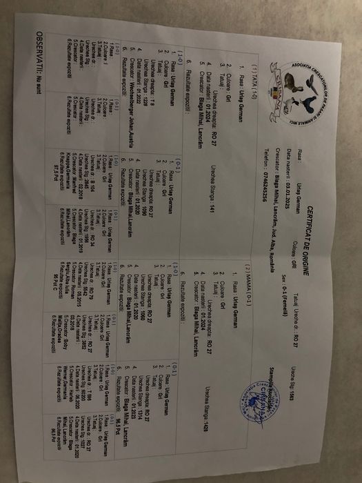 Urias german pereche