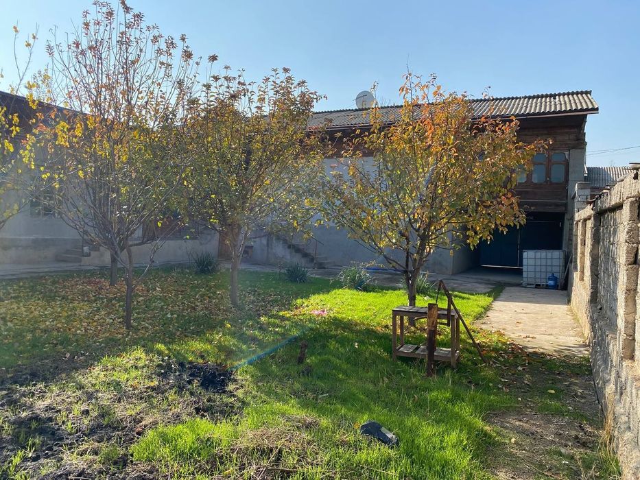 Toshkent tumani qoplonbey tamojniy