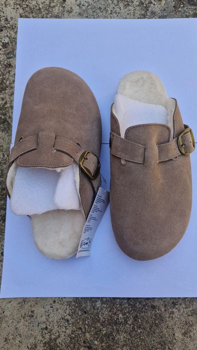 Clogsi captusiti