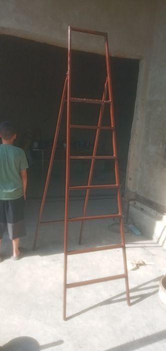 Стримянка норвонлар сотилади