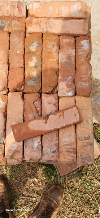 Caramida marginii* Rustice *