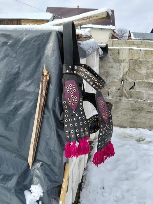 Vând căpăstru din piele nou nu o fost purtat deloc