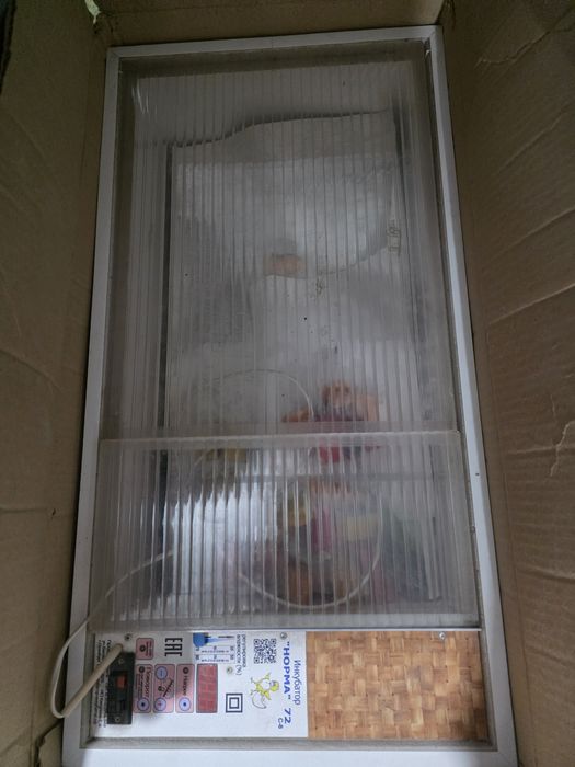 Инкубатор Блиц-норма С8