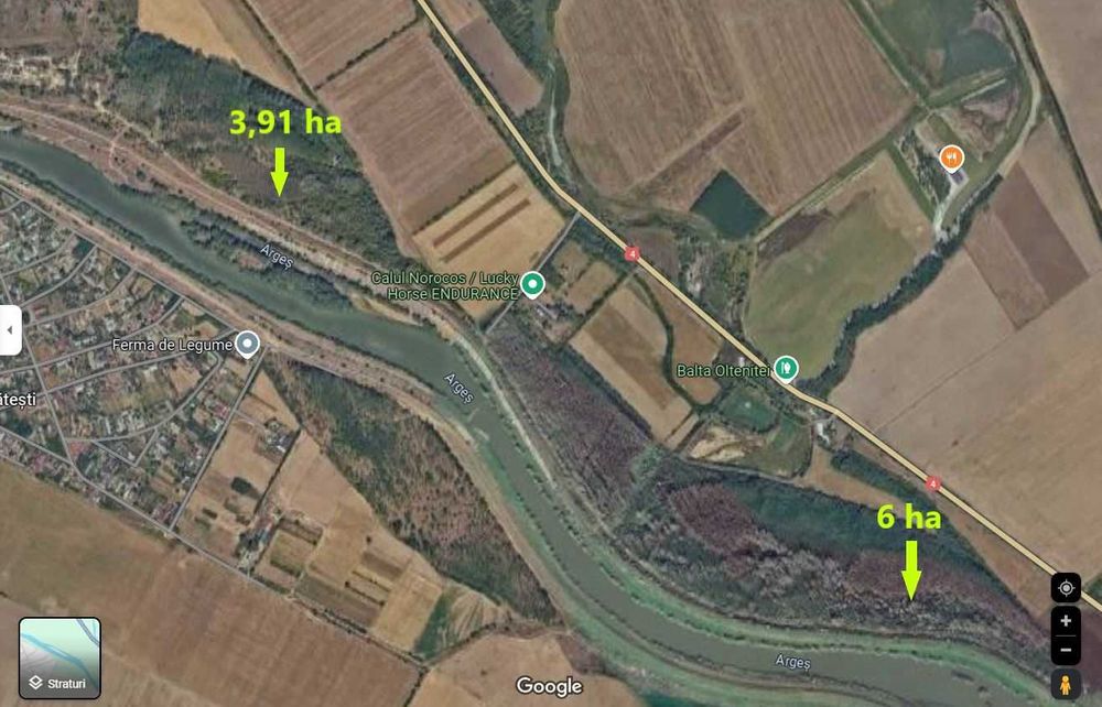 Teren extravilan (padure) de vanzare langa Mitreni, Calarasi