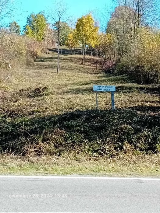 Teren extravilan de vanzare in Malovat.