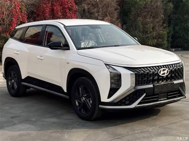 Запчасти для Hyundai Mufasa