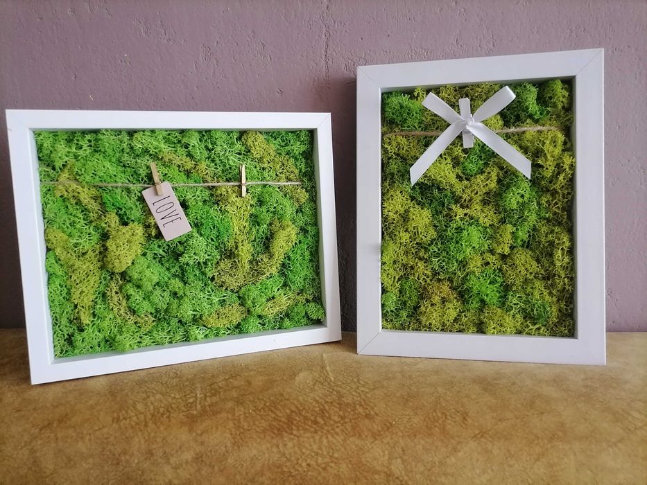 Декоративно пано от естествен скандинавски мъх