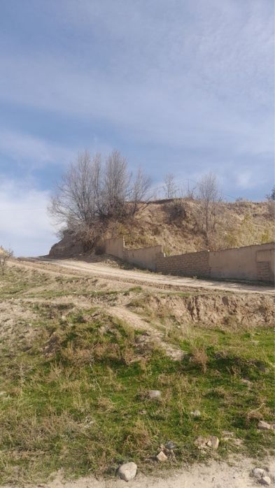 Boʻstonliq tumanida 4 sotix yer sotiladi