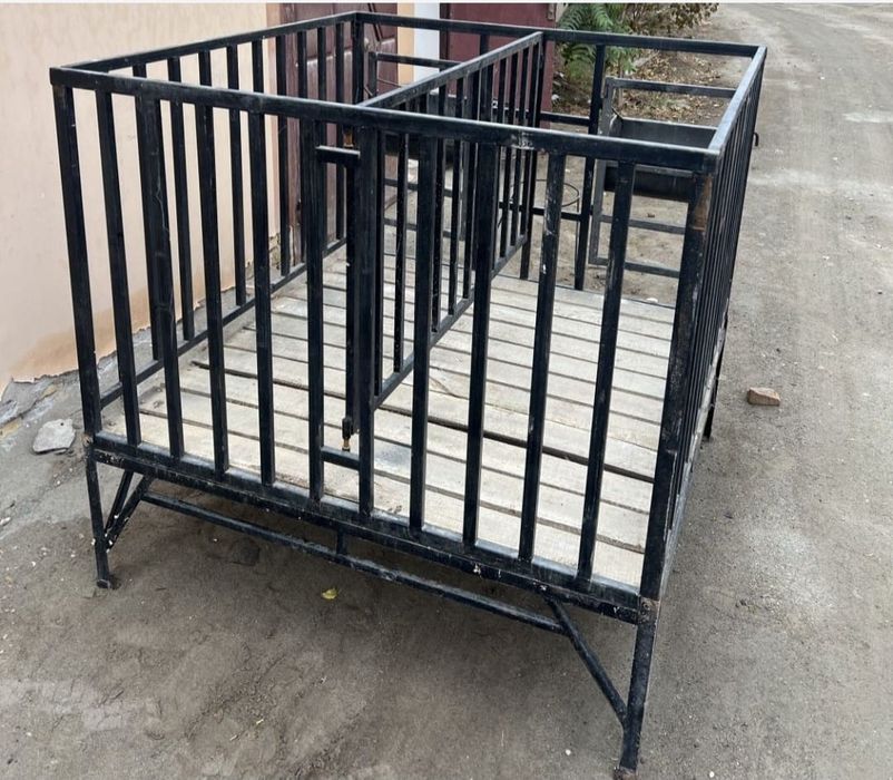 Quy xonasi ikkita va turta ketadi