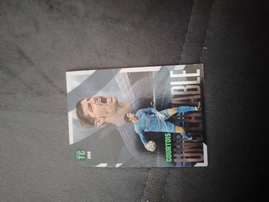 Panini cartonase de fotbal