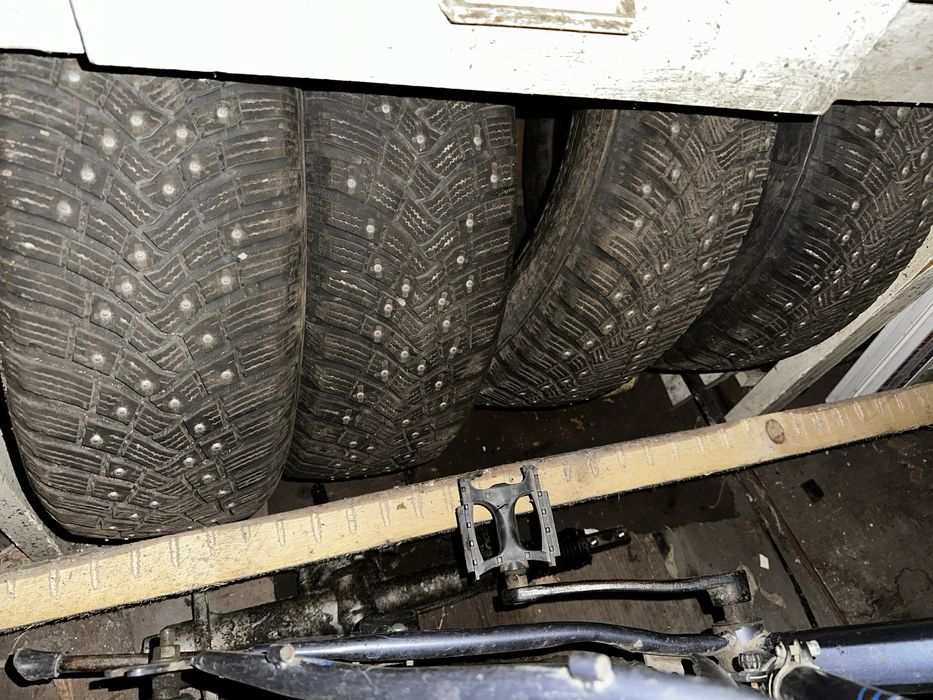 Зимняя рещина r15