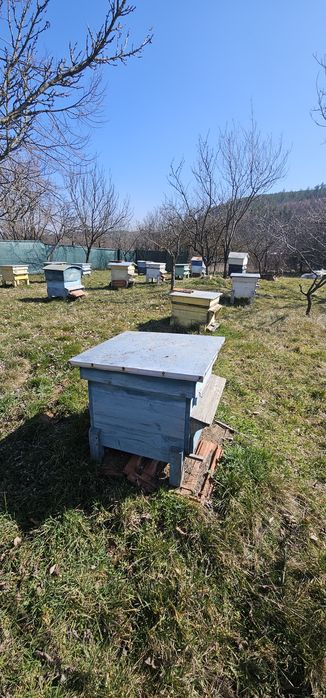 Пчелни кошери 17 броя