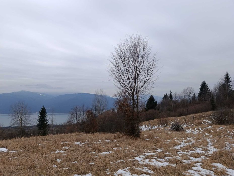 Vând teren 9000 mp teren Grozăvești com Hanguu