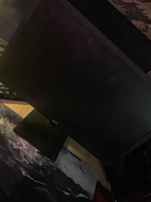 monitor LG perfect functional