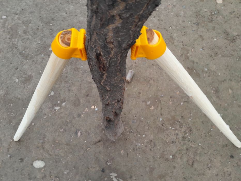 Соп даста. Дарахтлар учун тиргаклар (Опора для растение)