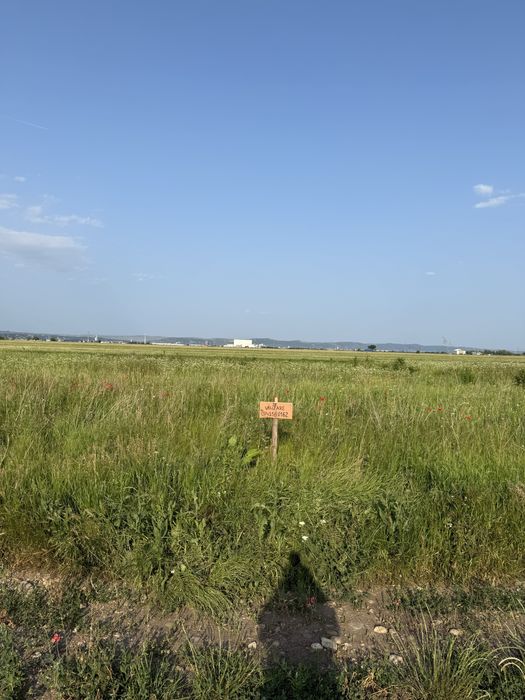 Terenuri intravilane cu panoramă spre Cheile Turzii | Construibil P+2