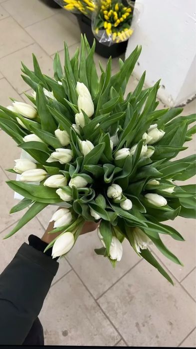 Тюльпаны . Корпоративные заказы