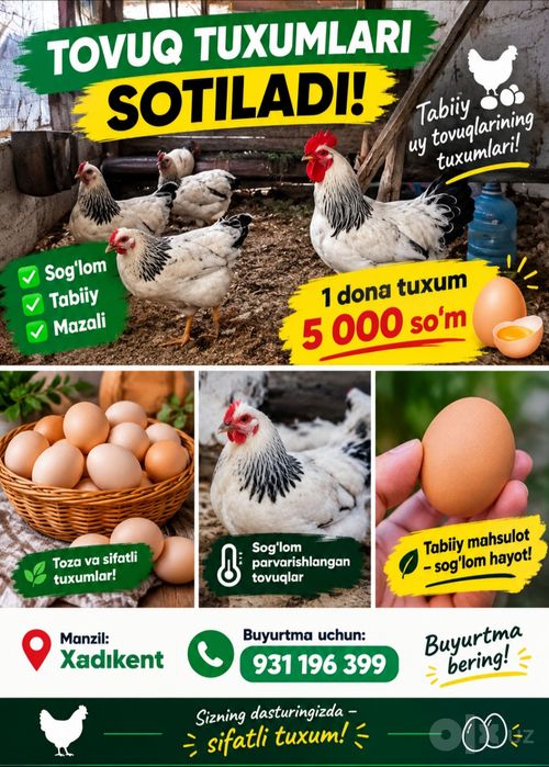 Adler serebro tuxumlari sotiladi