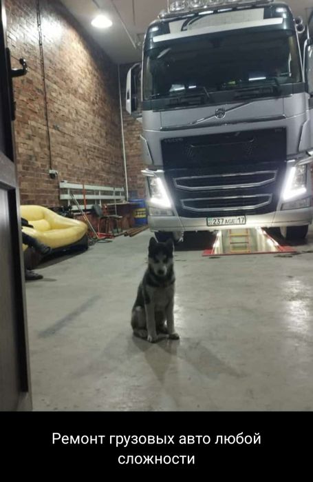 Ремонт Грузовых Авто.