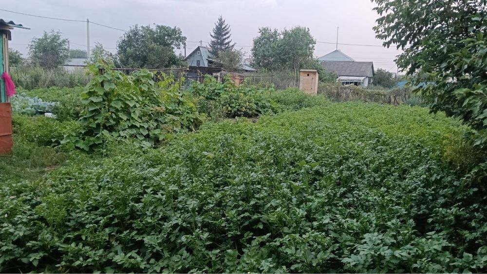 Частный дом Бобровка 440