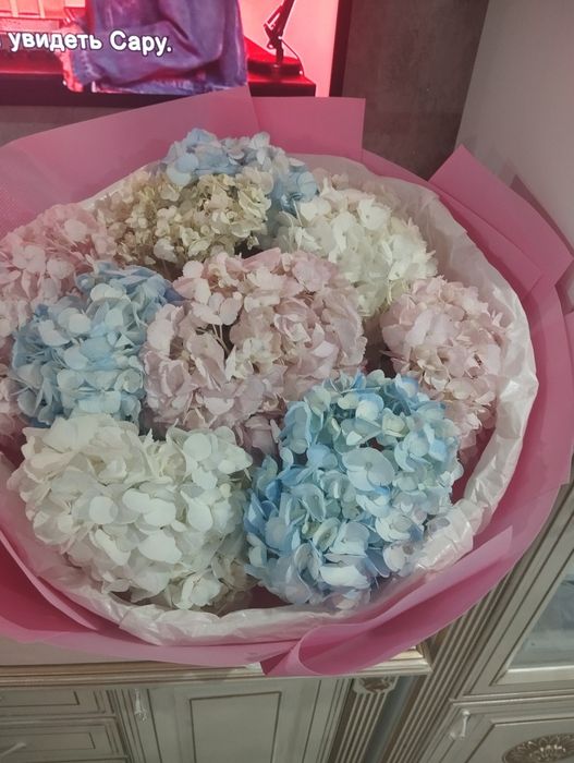 Цветы Гантезия недорого.