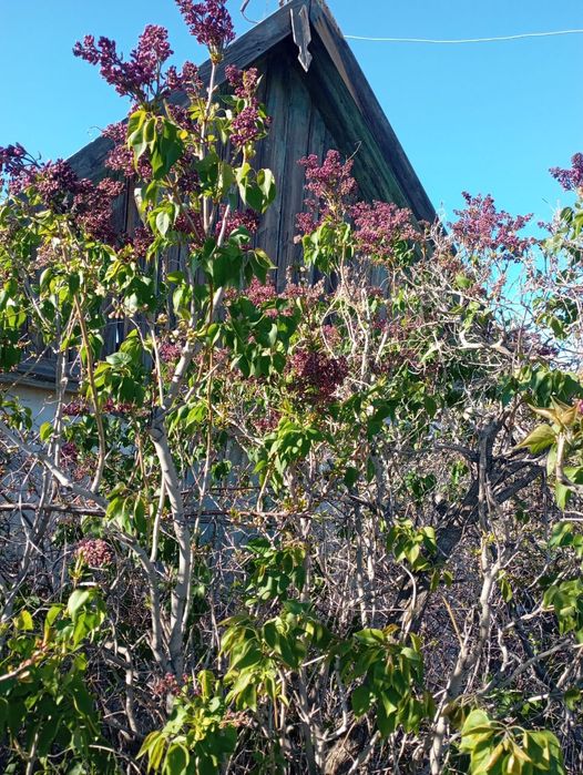 Продам дачу Автобъединение