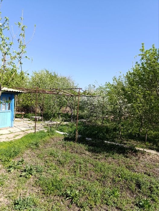 Навоий шахрмда ХОВЛИ.