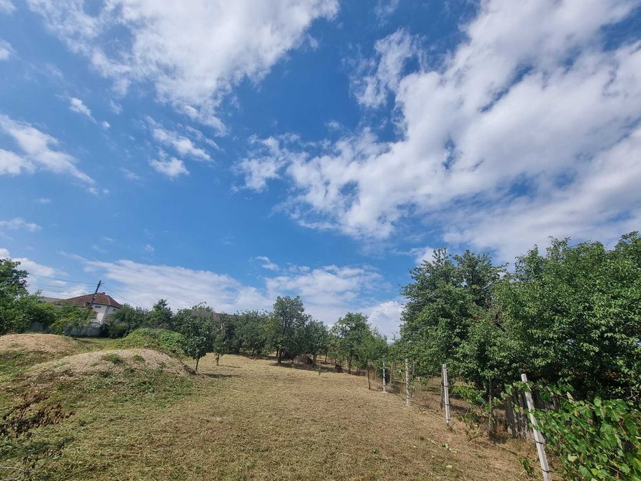 Anunț de Vânzare – Teren în Viile Satu Mare ​Titlu: Teren Ideal pentru Construcție – Strada Libertății nr. 4