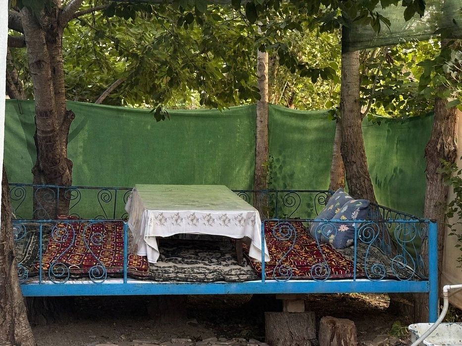 Dacha arenda beriladi