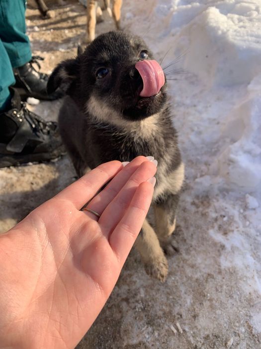 Ищем дом. Срочно!