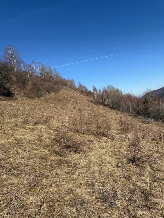 Vand teren Mărișel.