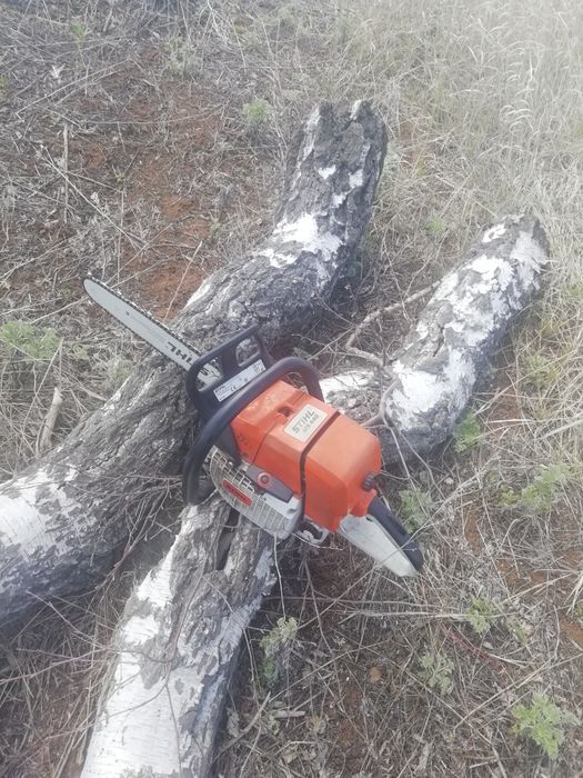Спилим дерево  распилим на дрова.