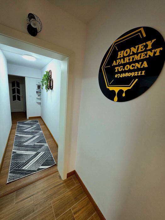 Honey apartment Târgu Ocna