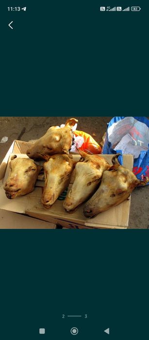 Продам требуху говяжьи