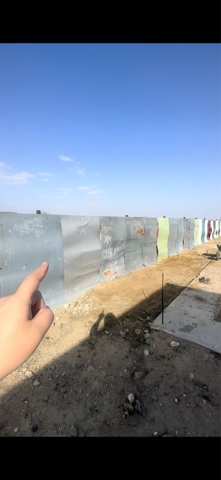 профлист шарбака корага