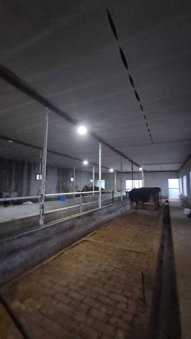 Noturar yer maydoni parnik