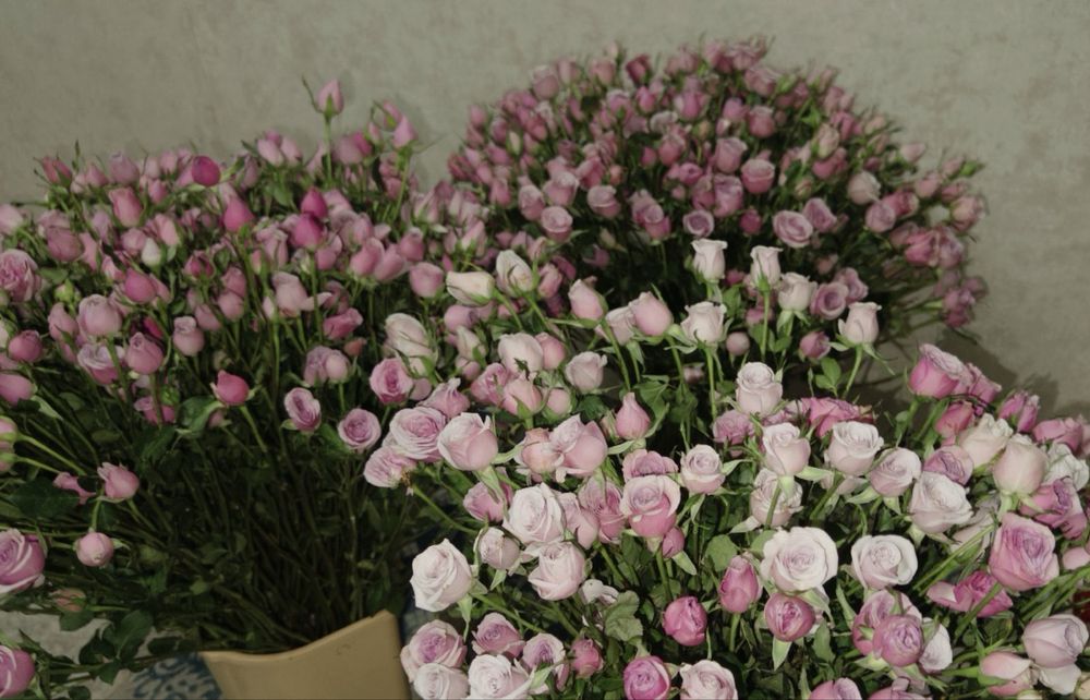 цветы, штучно, сборно, без оформления