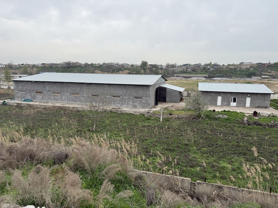 Продаю в г. Янгийуле (Арча куча)территорию 76  соток-От АРК-Булок 13км