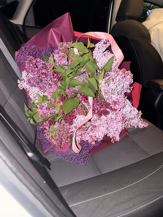 Сирень аррельская