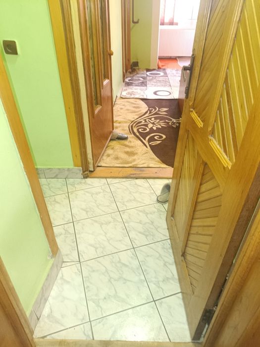 Vind Garsionera în Caraș-Severin, Localitatea  Caransebes