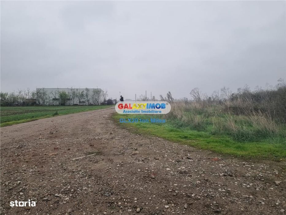 Vanzare teren 10000 mp Pantelimon Acumulatorul A 0!!