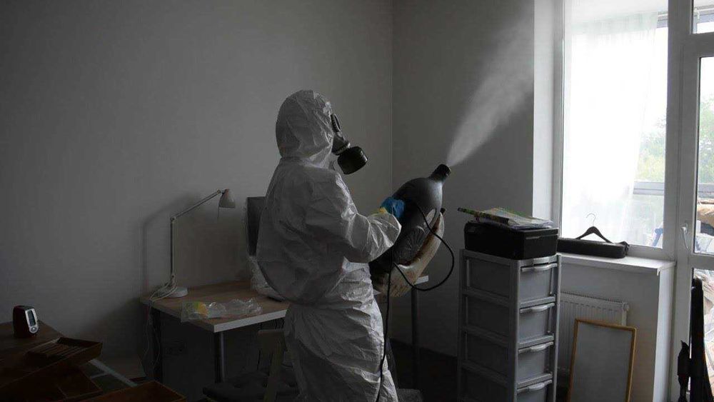 Клоп, таракан, блох, klapa, tarakan, ilon. Dezinfeksiya Дезинфекция