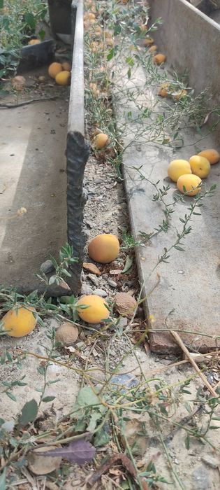 Уголок.#15# продам